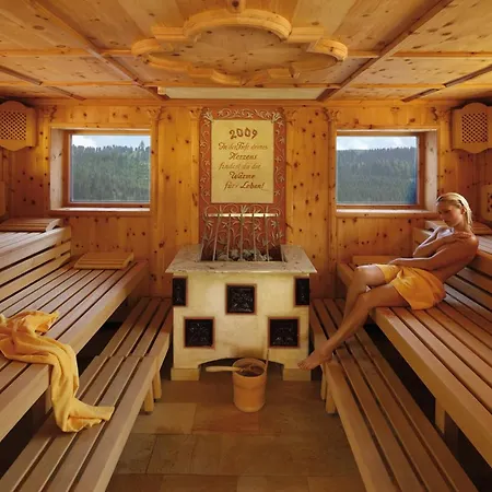 Hotel Alpenhof Gerlos